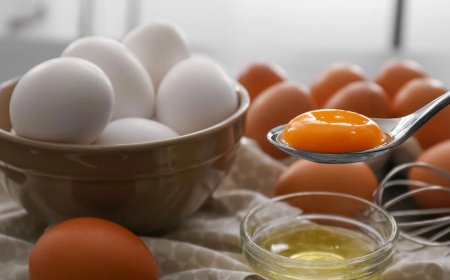 Perbedaan Telur Omega dan Biasa, Kenali Kandungan Gizinya!